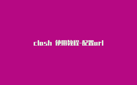 clash 使用教程-配置url