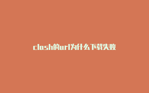 clash的url为什么下载失败