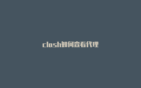 clash如何查看代理