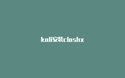 kali安装clashx