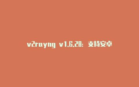 v2rayng v1.6.28：支持安卓8，打造更顺畅的网络体验