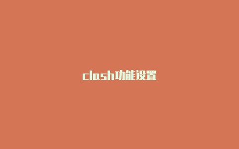 clash功能设置