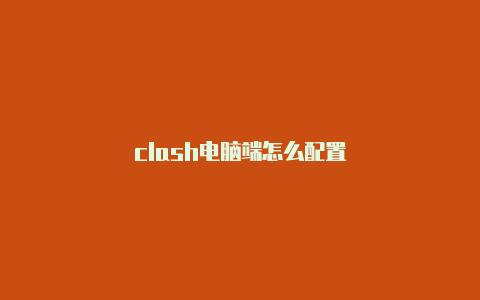 clash电脑端怎么配置