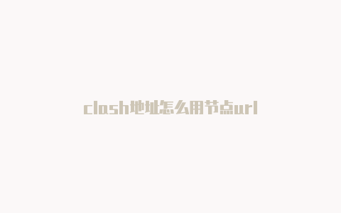 clash地址怎么用节点url