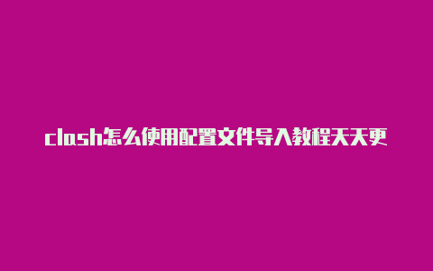 clash怎么使用配置文件导入教程天天更新