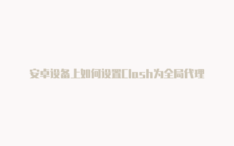 安卓设备上如何设置Clash为全局代理