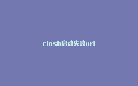 clash启动失败url