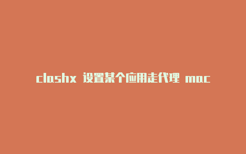 clashx 设置某个应用走代理 mac？-印度尼西亚手机热点clash分享