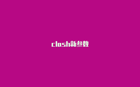 clash新参数