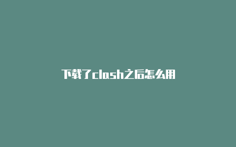 下载了clash之后怎么用