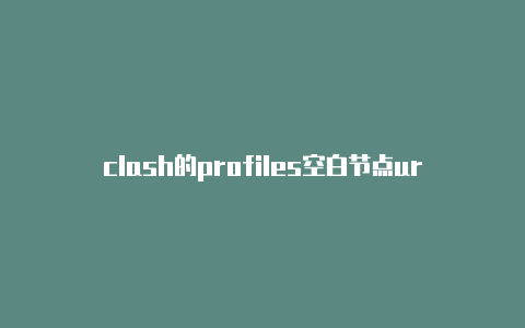 clash的profiles空白节点url