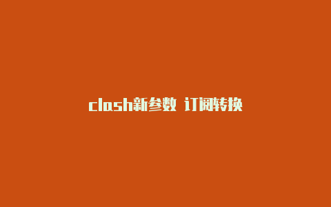 clash新参数 订阅转换