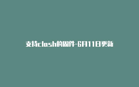 支持clash的固件-6月11日更新