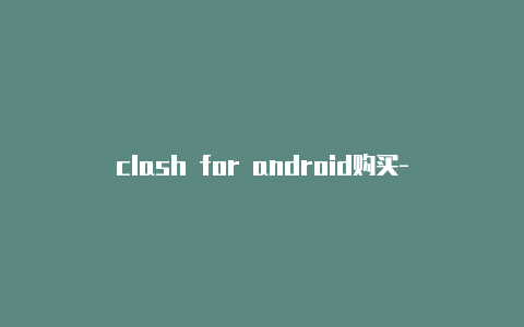 clash for android购买-节点配置