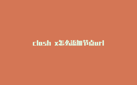 clash x怎么添加节点url