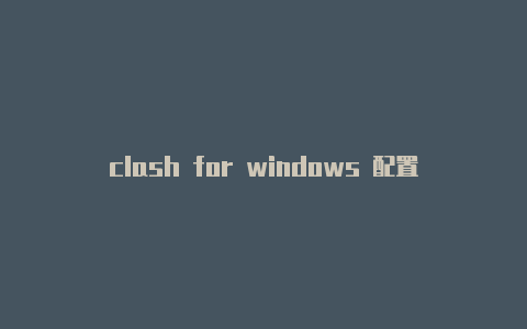 clash for windows 配置文件