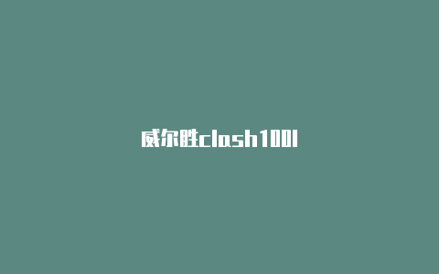 威尔胜clash100l