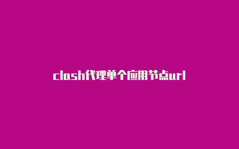 clash代理单个应用节点url