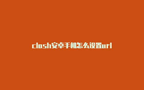 clash安卓手机怎么设置url