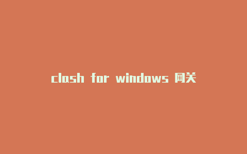 clash for windows 网关