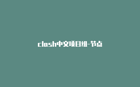 clash中文项目组-节点