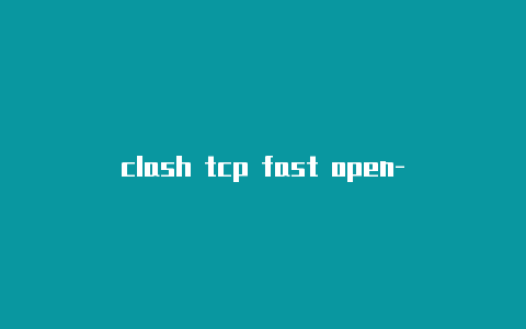 clash tcp fast open-订阅地址