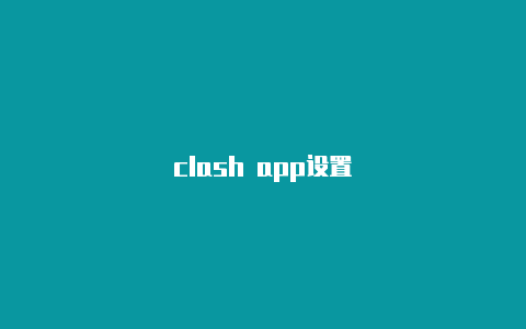 clash app设置