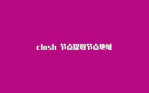 clash 节点提取节点地址