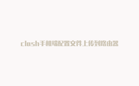 clash手机端配置文件上传到路由器