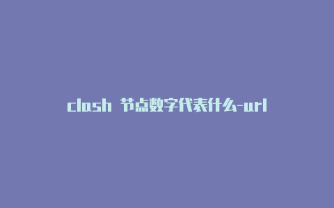 clash 节点数字代表什么-url