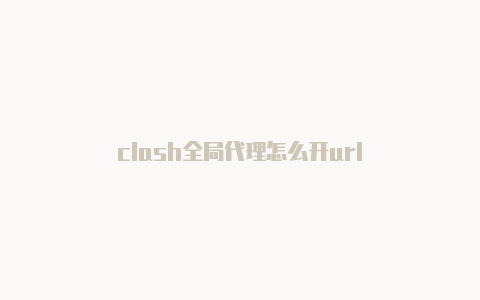 clash全局代理怎么开url