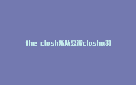 the clash乐队豆瓣clasha羽绒服