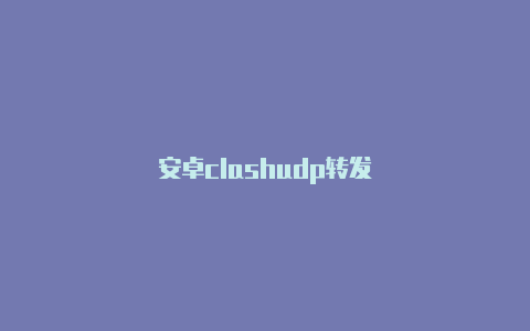 安卓clashudp转发