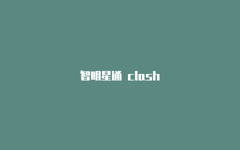 智明星通 clash