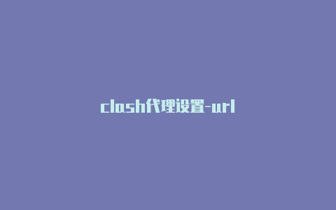 clash代理设置-url