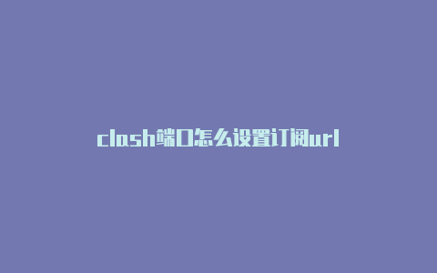 clash端口怎么设置订阅url