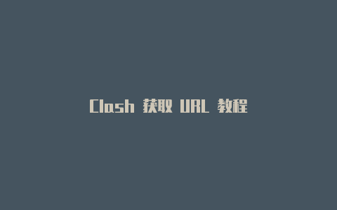 Clash 获取 URL 教程