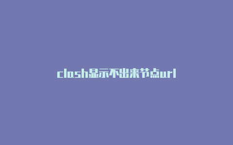 clash显示不出来节点url