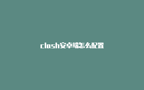 clash安卓端怎么配置