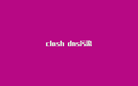 clash dns污染