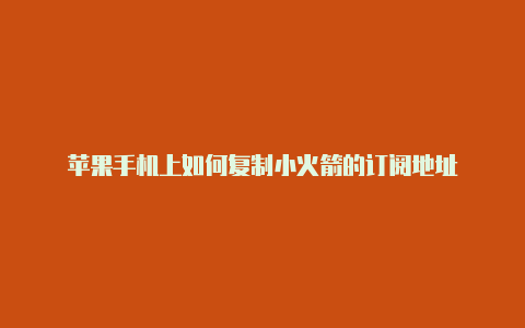 苹果手机上如何复制小火箭的订阅地址