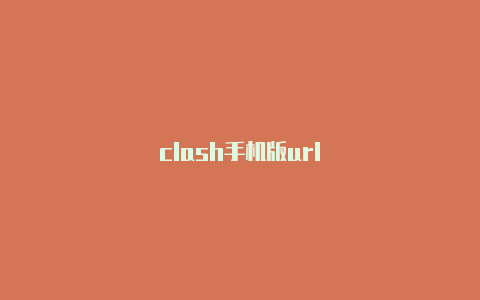 clash手机版url