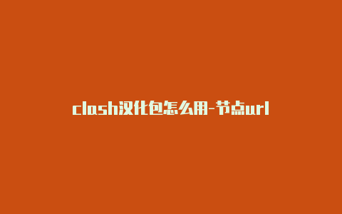 clash汉化包怎么用-节点url