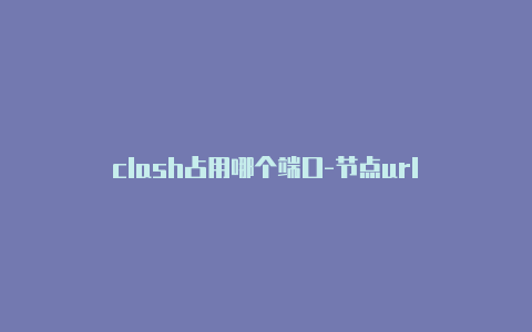 clash占用哪个端口-节点url