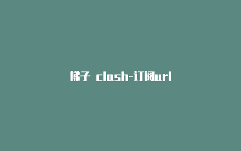 梯子 clash-订阅url