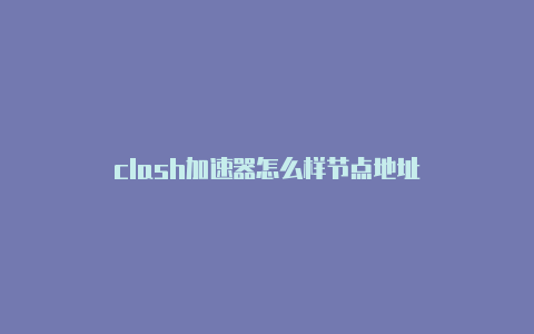 clash加速器怎么样节点地址