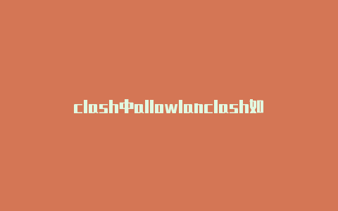 clash中allowlanclash如何配置host