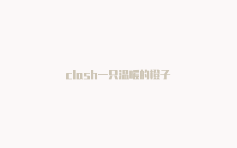 clash一只温暖的橙子