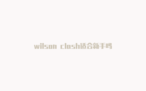 wilson clash适合新手吗