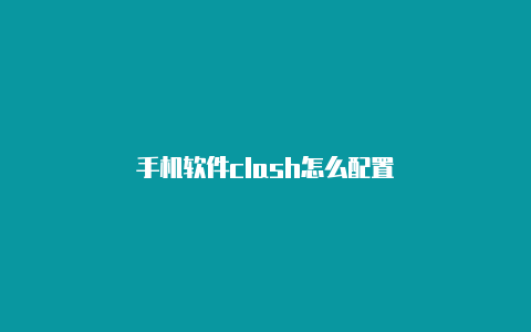 手机软件clash怎么配置